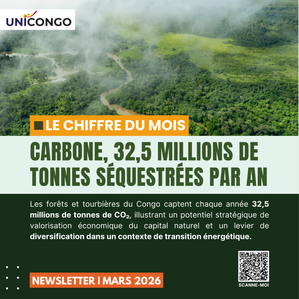 Crédits carbone : 32,5 millions de tonnes de CO2 séquestrées chaque année